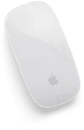 Mouse image